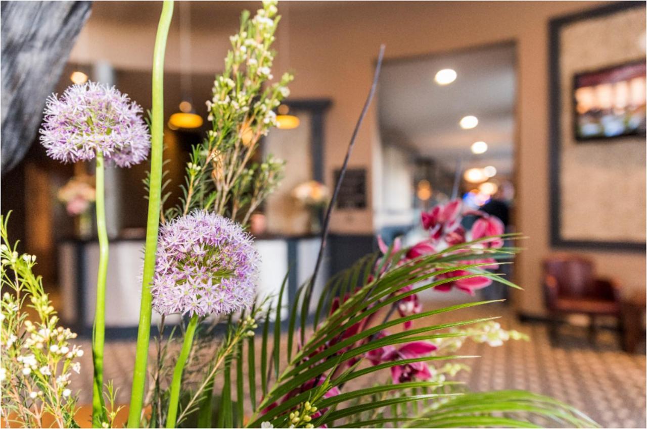The Riverside Park Hotel Enniscorthy Esterno foto